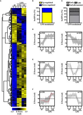 The Long Non-coding RNA NRIR Drives IFN-Response in Monocytes: Implication for Systemic Sclerosis